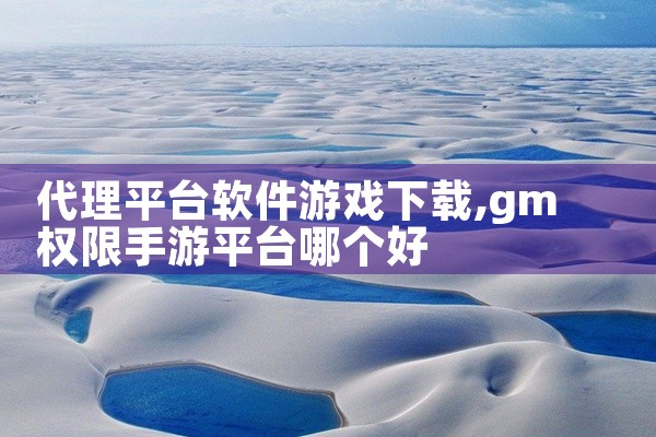 代理平台软件游戏下载
