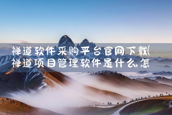 禅道软件采购平台官网下载