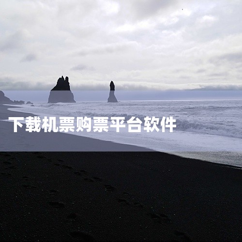 最佳买飞机票下载携程、飞猪、去哪儿、途牛等APP较好。解释：1. 携程APP 携程是知名的在线旅行服务平台，其APP提供了一站式的购票服务，包括飞机票、火车票、汽车票等。用户可以通过该APP轻松预订国|