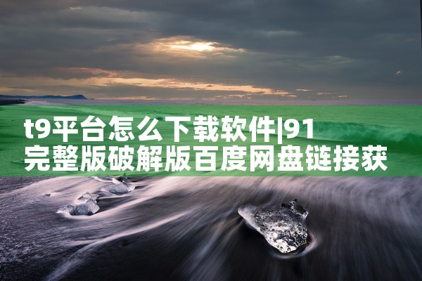 t9平台怎么下载软件