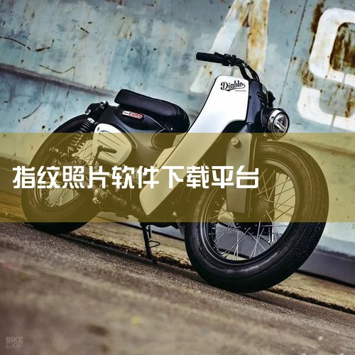 指纹相册本是一款专注于照片管理与展示的应用软件,主要功能包括将手机或电脑中的照片按主题、时间或人物进行智能分类,并支持创建个性化电子相册。用户可通过指纹识别快速锁定私密相册,保护个人隐私。该软件界面简,